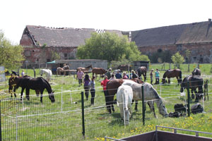 Hofgestüt Bleesern